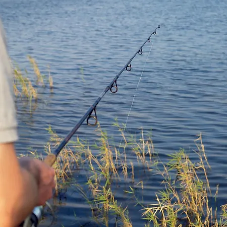 Remise 6 Personen Mit Terrasse 別荘