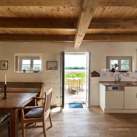 Remise 6 Personen Mit Terrasse 別荘 Grubnow